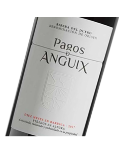PAGOS DE ANGUIX - Vino tinto 2