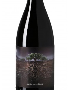 PROYECTO GARNACHAS - Vino... 2
