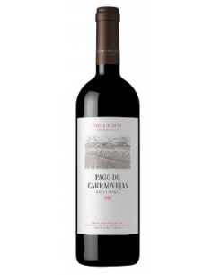 VINO TINTO PAGO DE CARRAOVEJAS