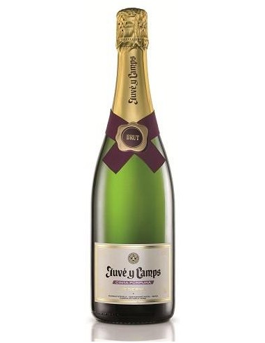 JUVE & CAMPS - CAVA BRUT CINTA PURPURA