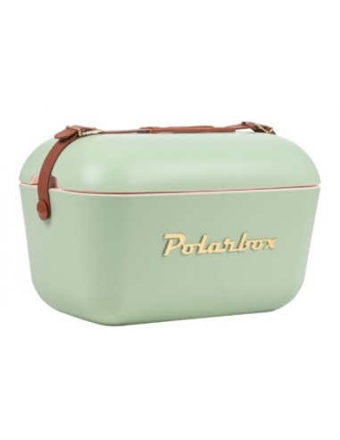 NEVERA POLARBOX GOLD 20L OLIVA
