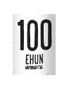 100 Ehun